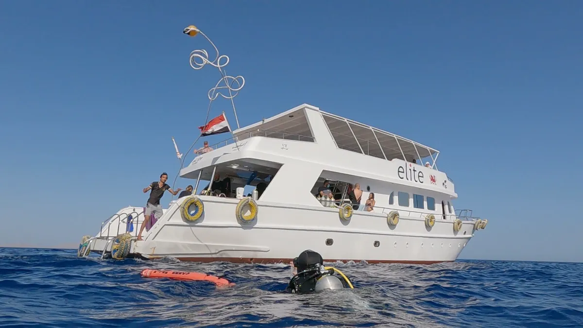 Elite Diving with Divers United