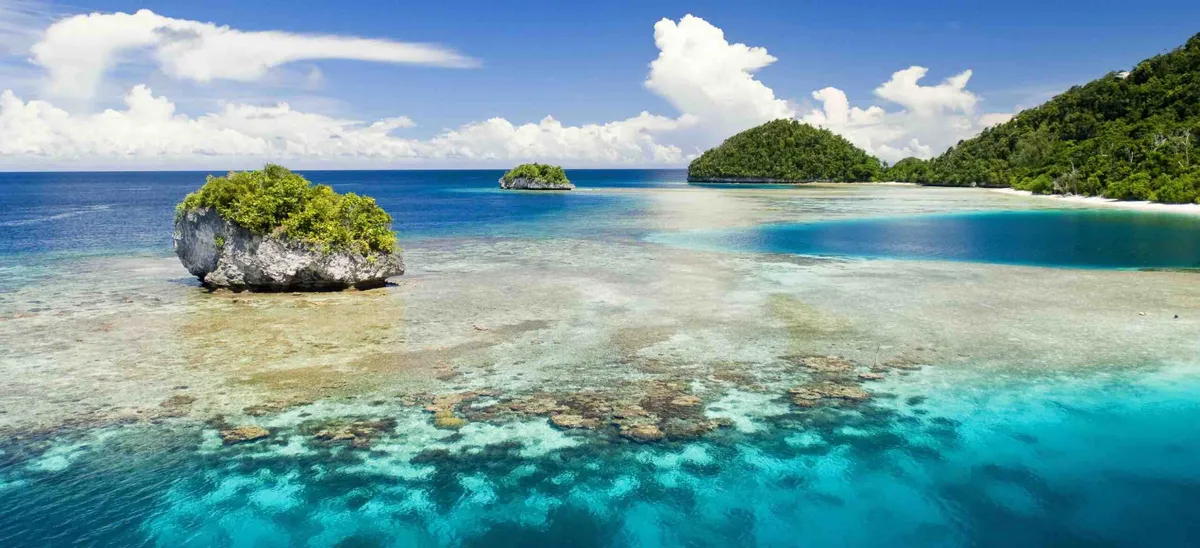Papua Diving Resorts (Sorido Bay/Kri Eco)