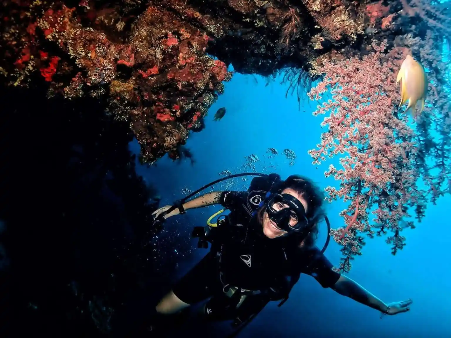 Calypso Diving Bali