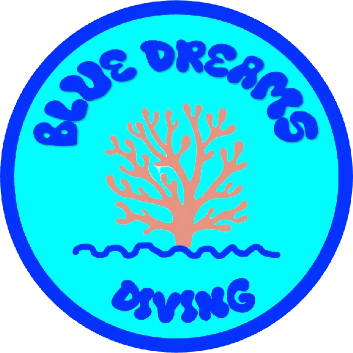 Blue Dreams Diving