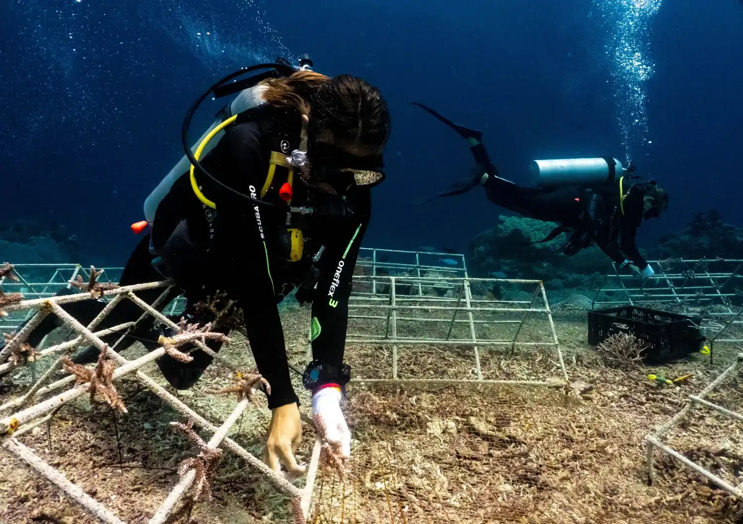 Blue Corner Dive Nusa Penida