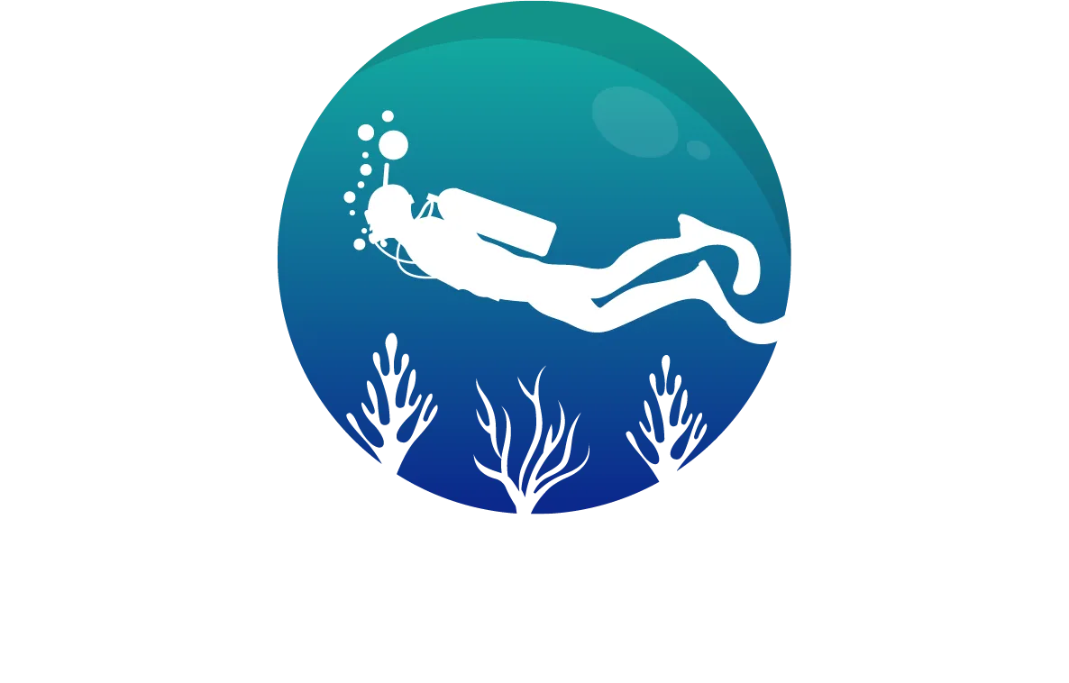 Impact Divers
