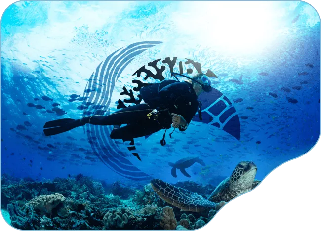 Paradise Beach Divers