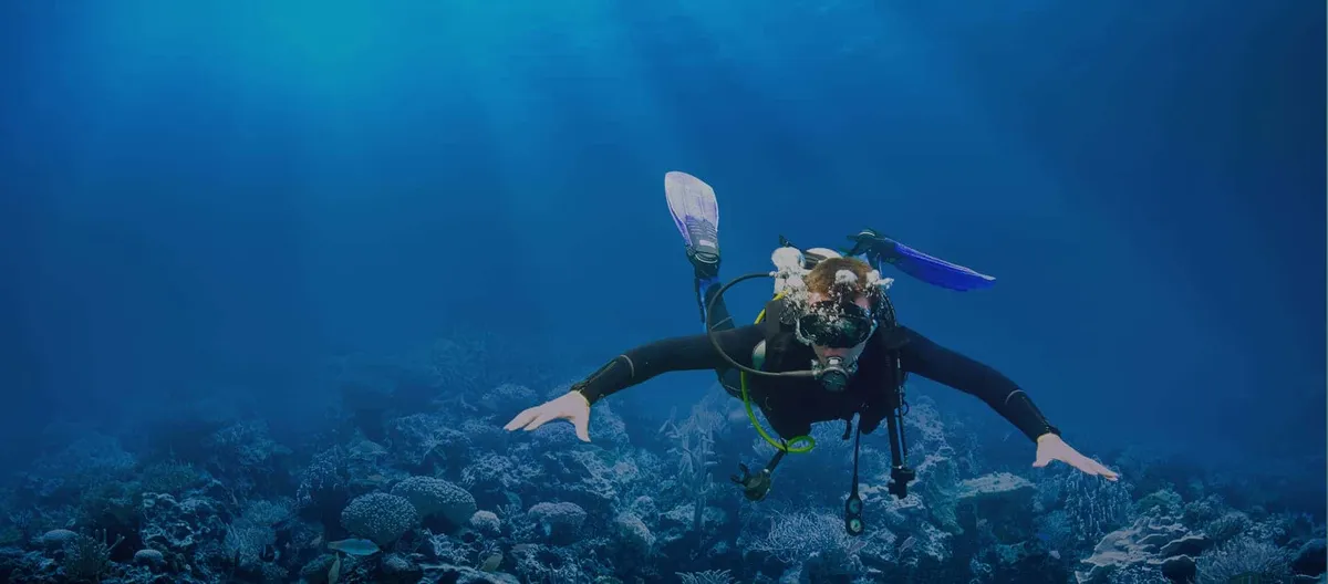 Sea Coral - Vietnam Diving And Training Center