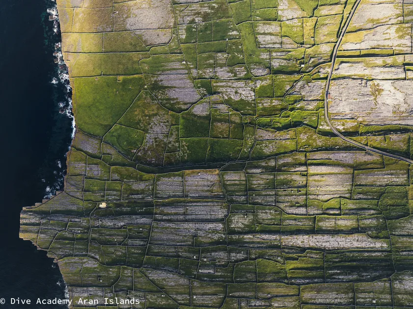 Dive Aran