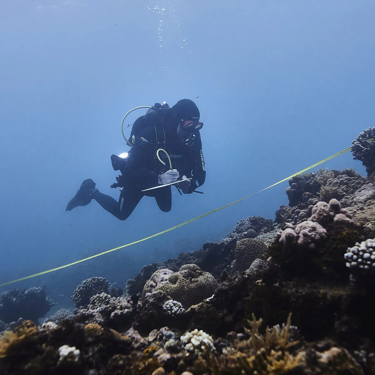 PRÎSM (Projet Récif Île Sainte-Marie)