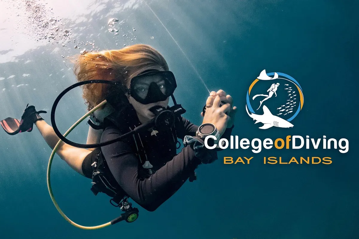 Bay Islands College of Diving