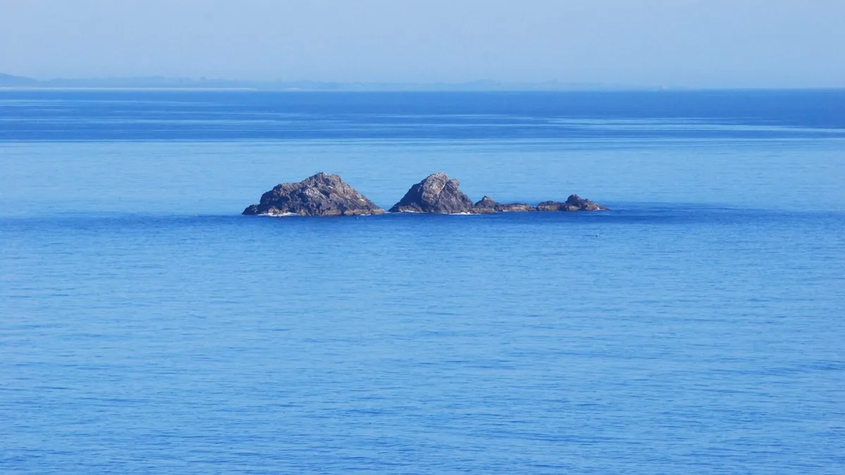 Byron Bay Dive Centre & Turtle School