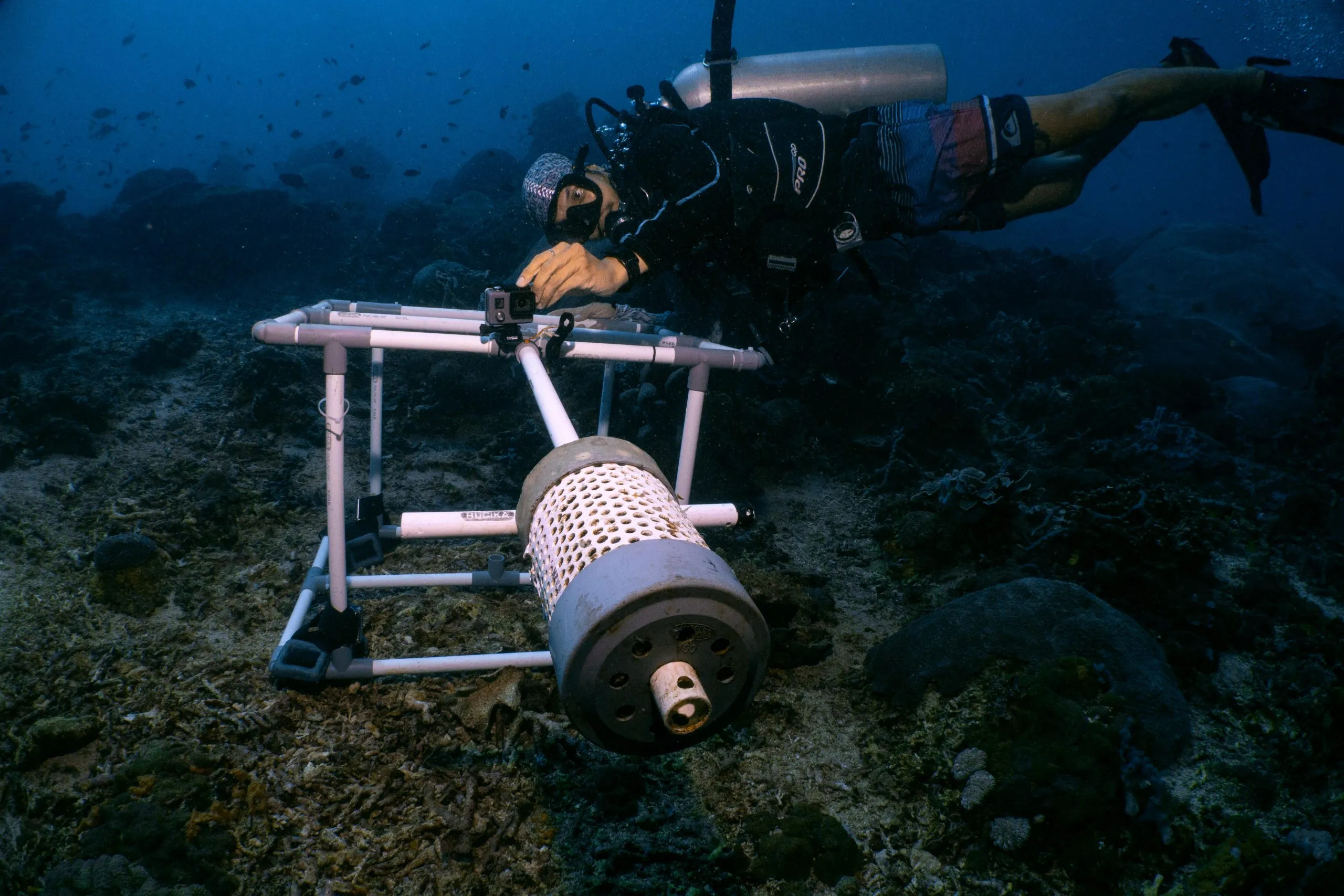 Dive Hub Penida (Indo Ocean Project)