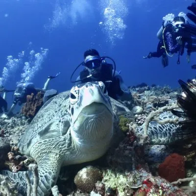 Four Elements Eco Dive