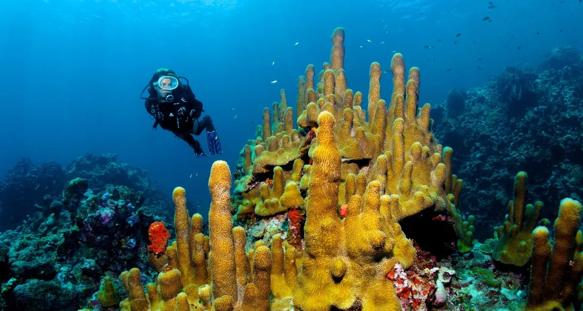 Scuba St. Lucia at Anse Chastanet Resort