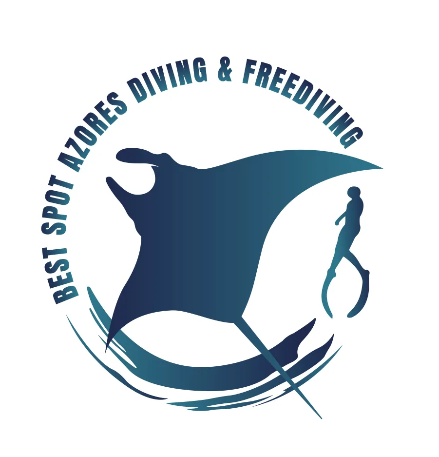 Best Spot Azores Dive Center