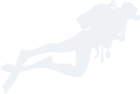 Mare Nostrum Diving Ustica