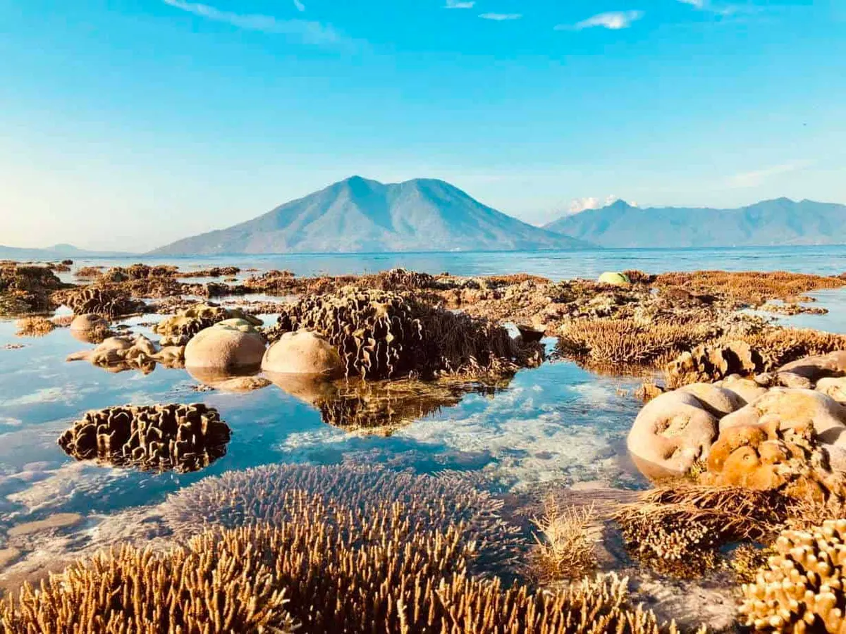 Alor Tanapi Dive Resort