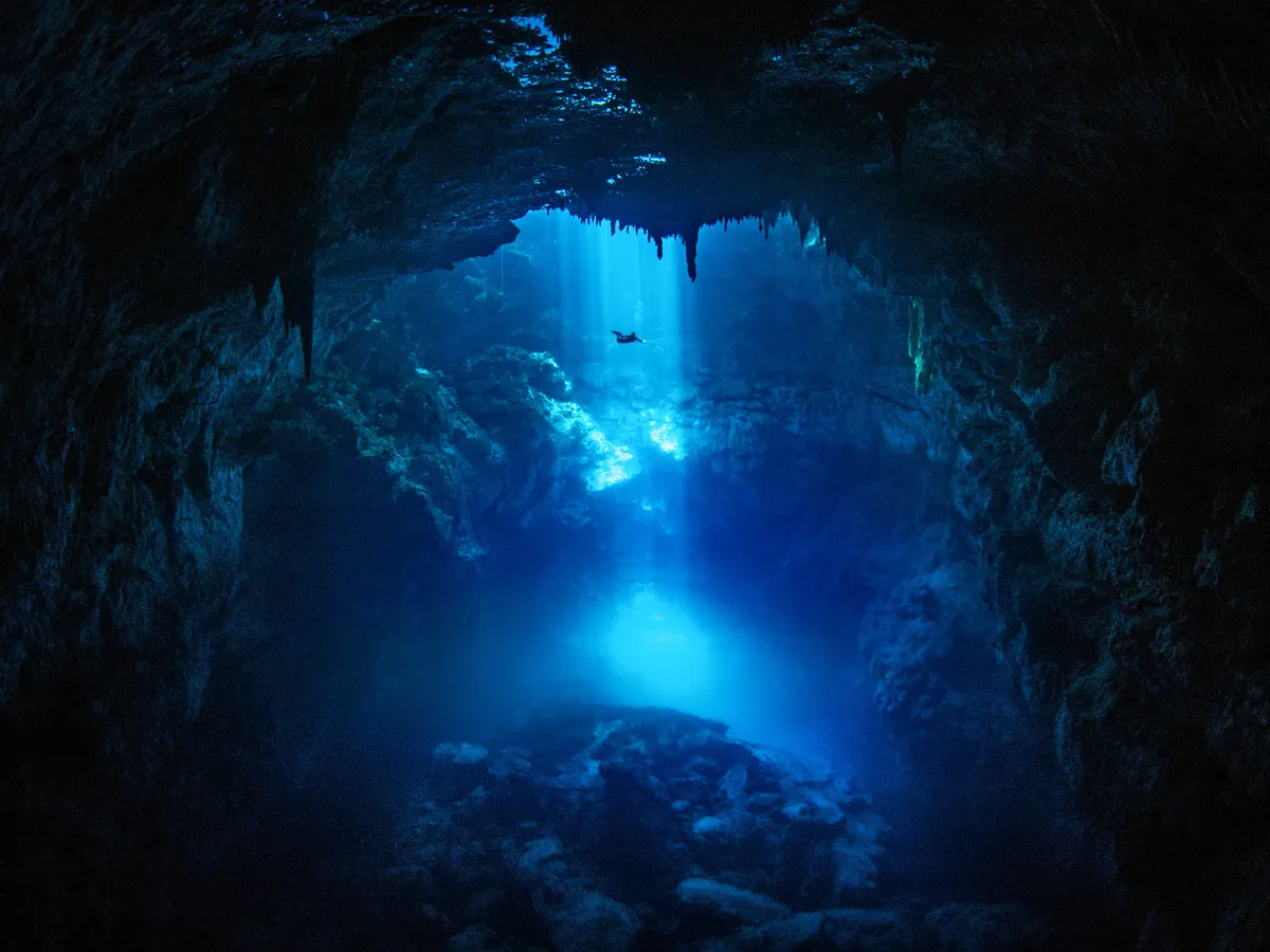 Elite Divers International