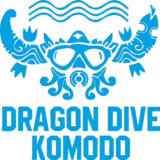 Dragon Dive Komodo