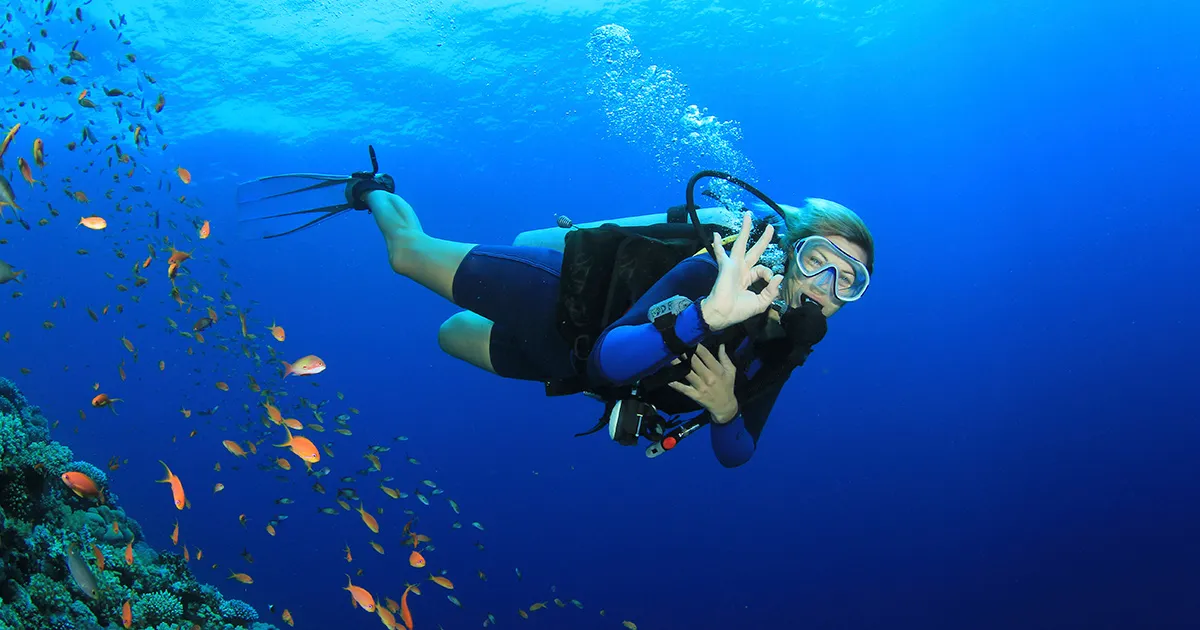 Blue Revival Diving College (Dive Bohol)