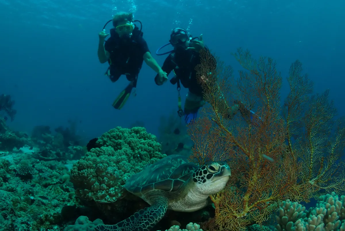 Bali Ocean Reef Dive Center